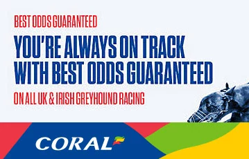 coral sport greyhound